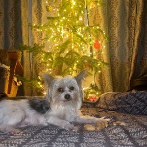 Meet your Posher, Jorja